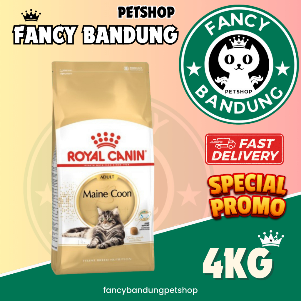 Royal Canin Maine Coon Adult 4kg