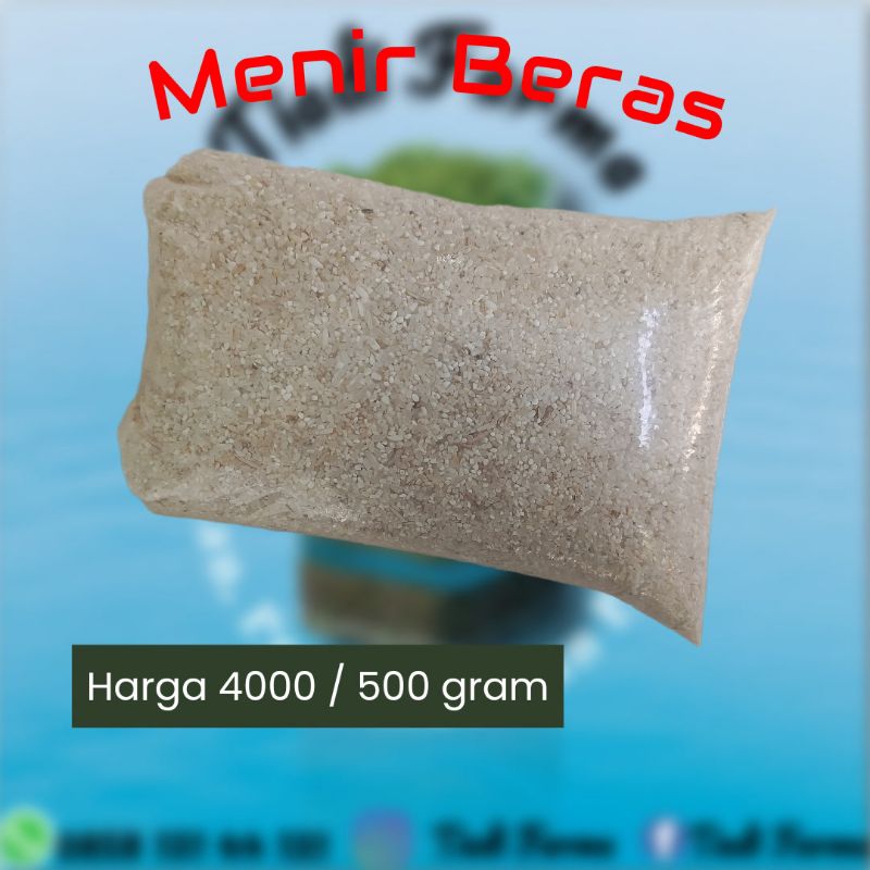 

Menir Beras per 500 gram Termurah