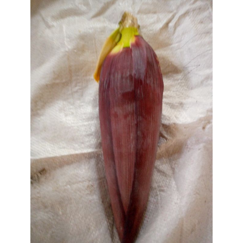 

sayuran mayur kebang pisang atu jantung pisang