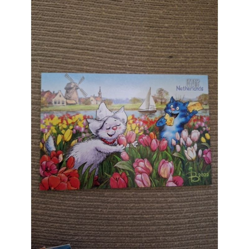 

kartu pos kucing bluecat WT holland postcard