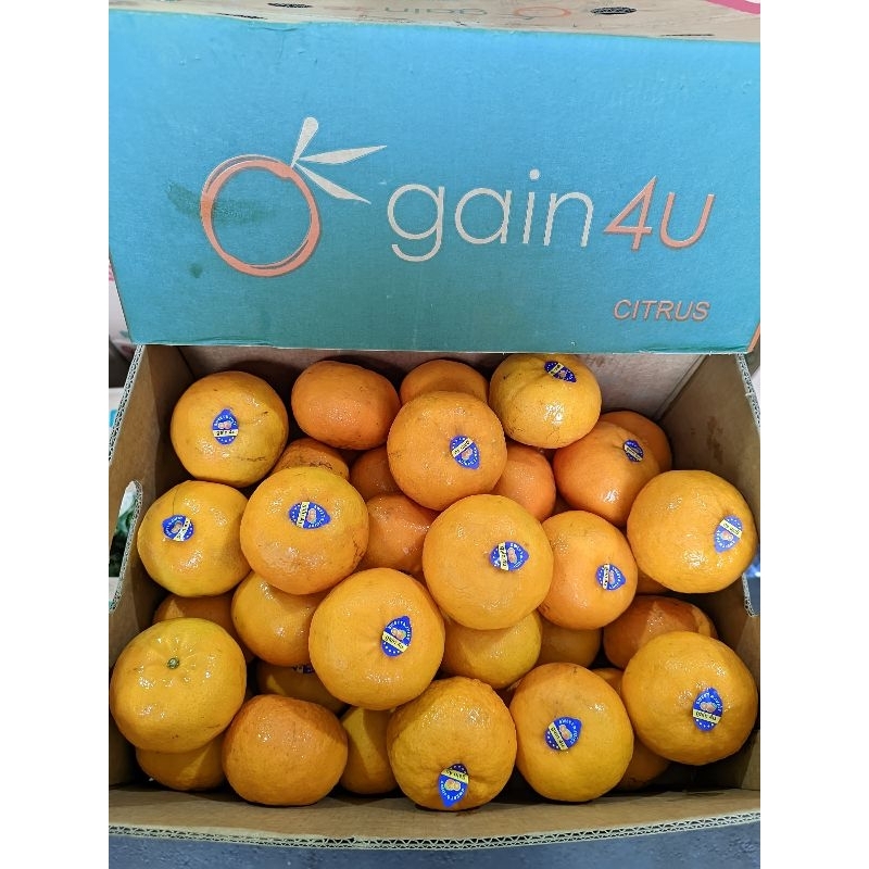 

Jeruk murcot 500gr