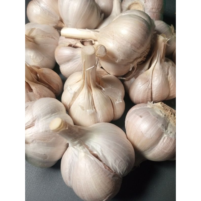 

Bawang putih Kating 1kg