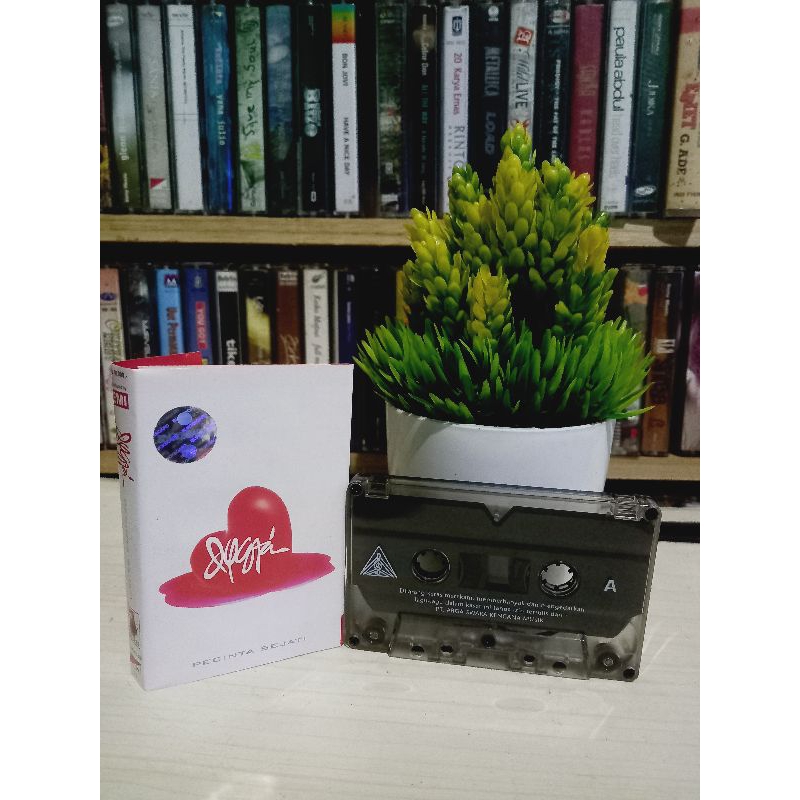 KASET DYGTA PECINTA SEJATI