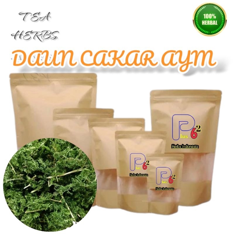 

Daun cakar ayam/ceker ayam kering teh siap seduh herbs kanker/ pack