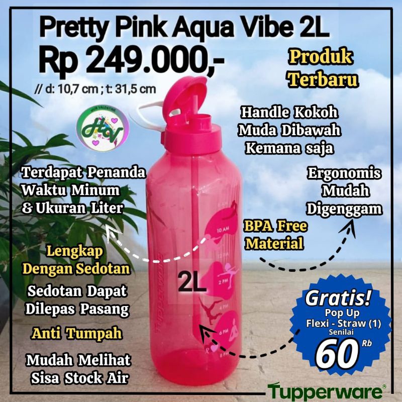 eco 2 liter tupperware