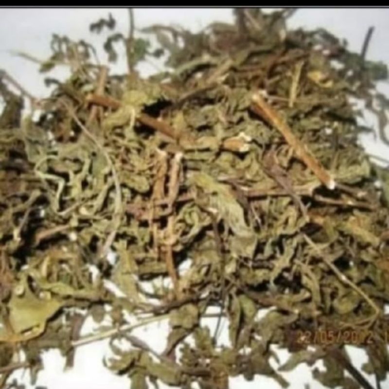 

Daun Kumis Kucing (Rempah Jamu Obat Herbal Tradisional) 1 Kg