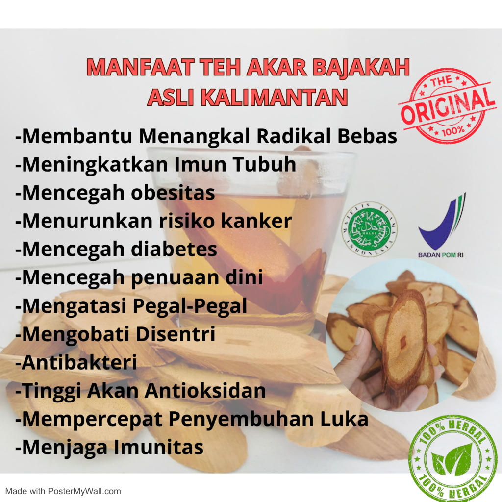 

TERLARIS Akar bajakah 250g asli kalimantan kayu bajakah tampala merah mengatasi kanker menghilangkan rasa capek lelah