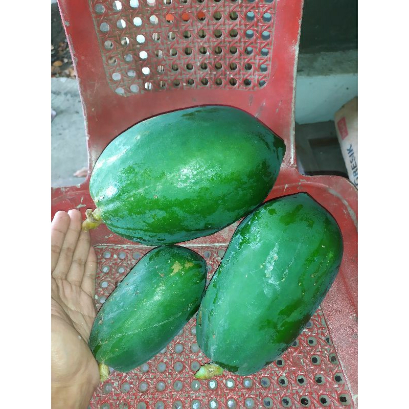 

Buah Pepaya