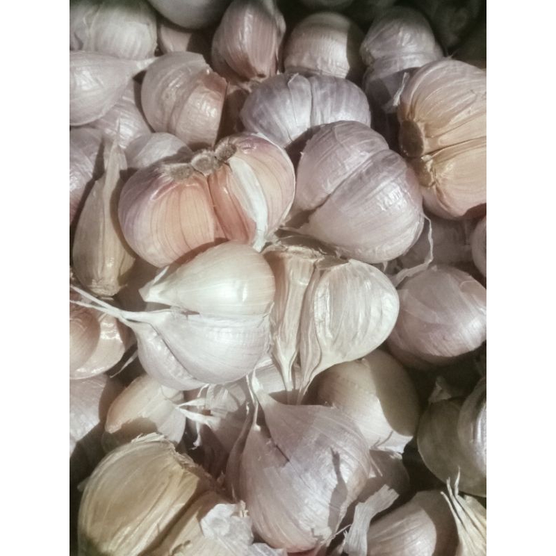 

Bawang putih kating berat 1kg