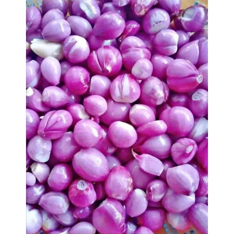 

bawang merah kupas kemasan 500 gr