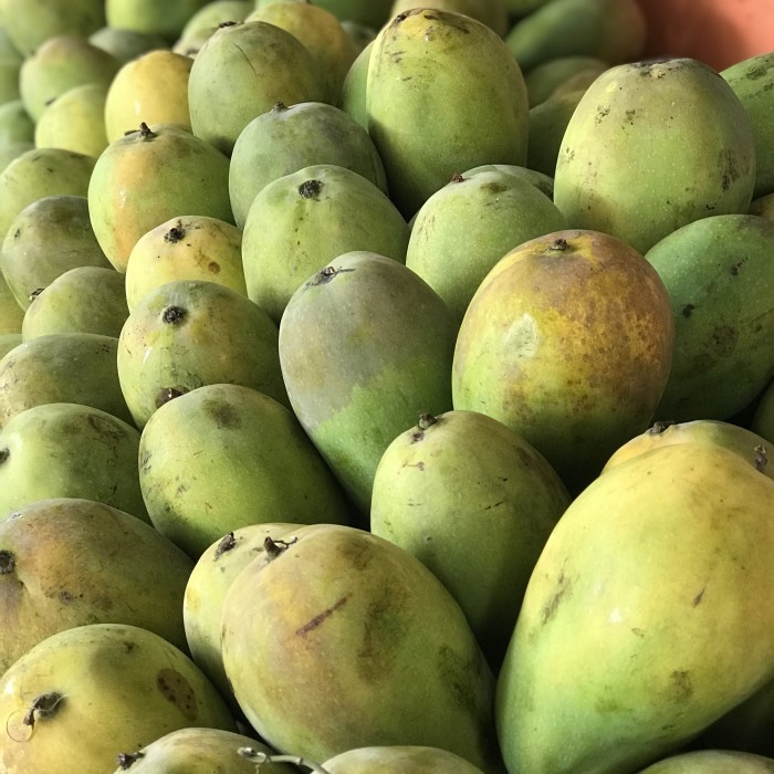 

mangga harum manis kualitas super dijamin manis