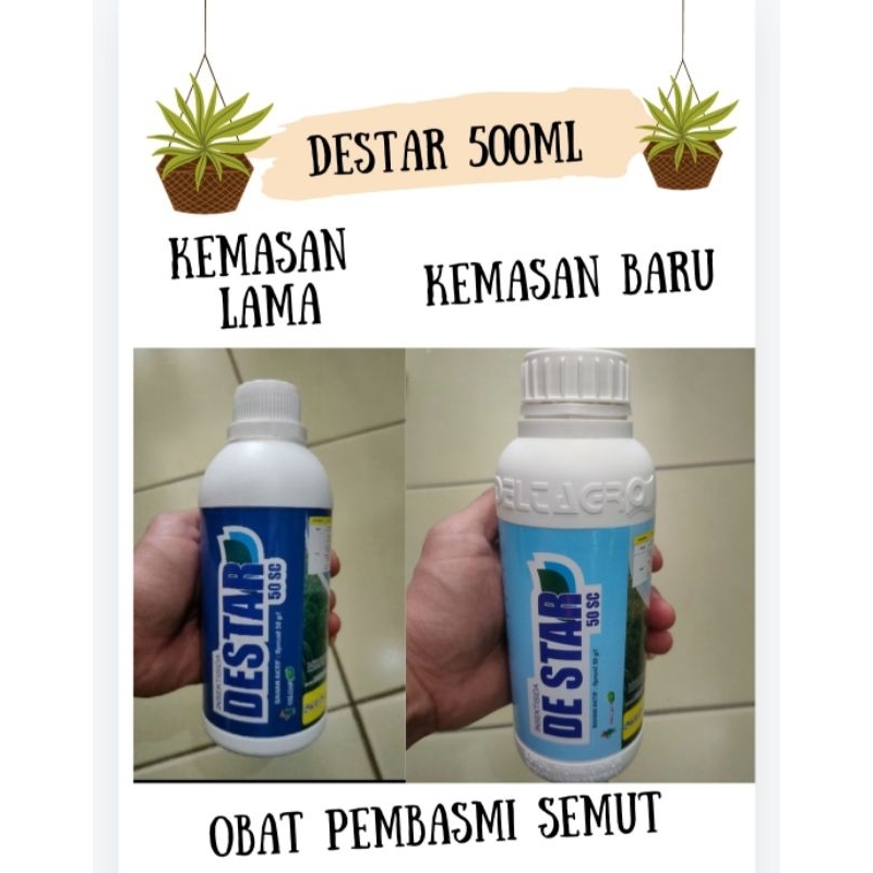 Destar insektisida obat semut