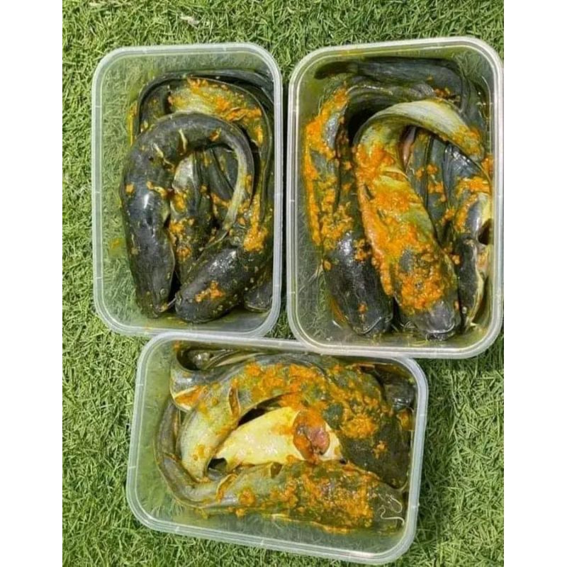 

lele bumbu kuning 1kg