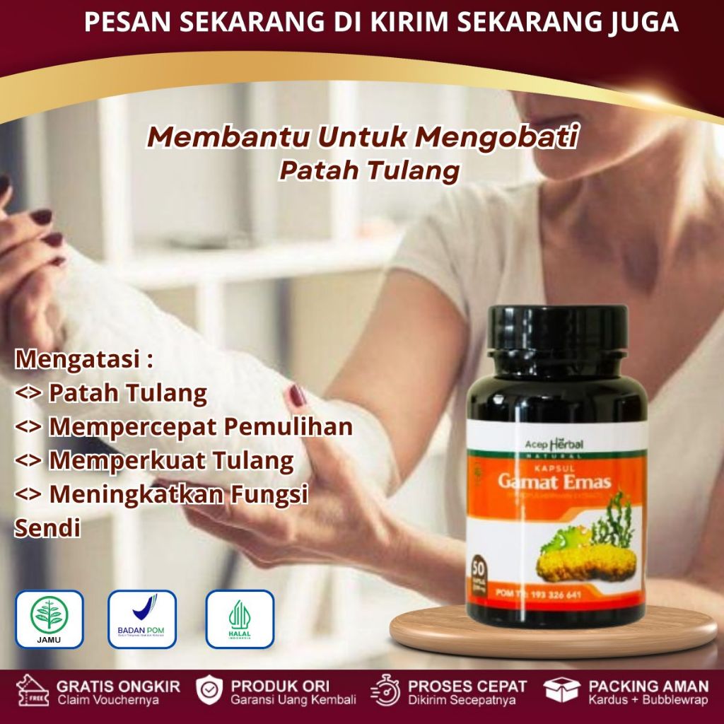 Gamat Emas Kapsul - Obat Patah Tulang, Tulang Retak, Nutrisi Penyambung Tulang, Kalsium Tulang