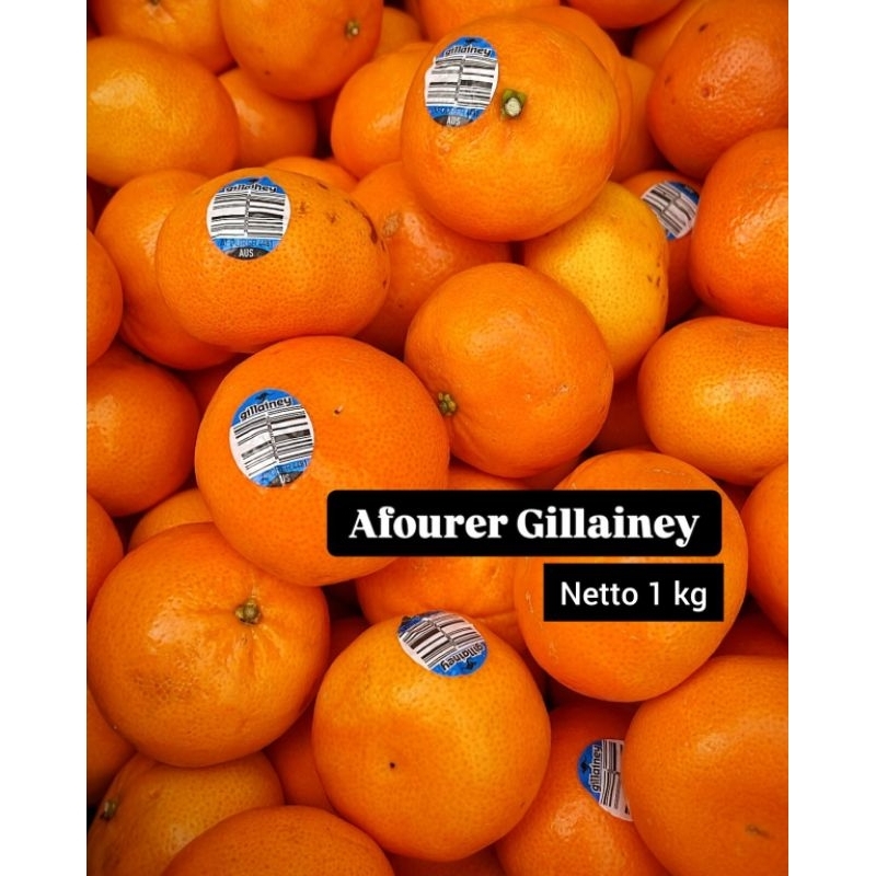 

Jeruk Afourer Gillainey 1kg