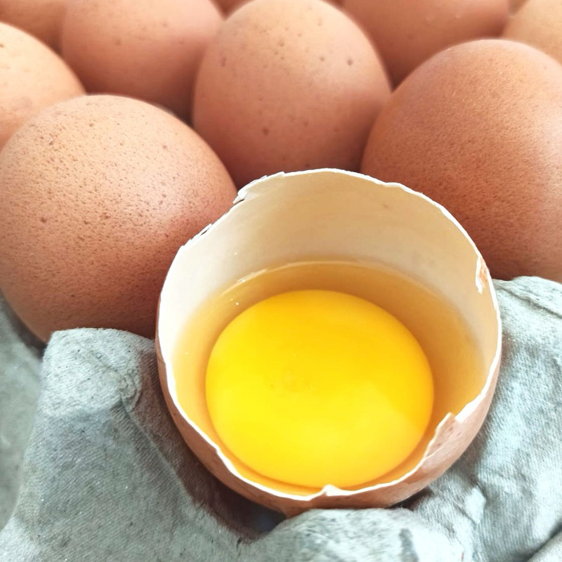 

Telur Ayam Negeri PREMIUM - Harga per 1Kg