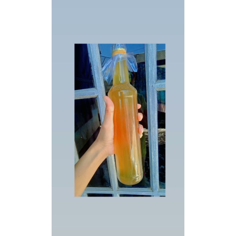 

Madu murni lebah liar