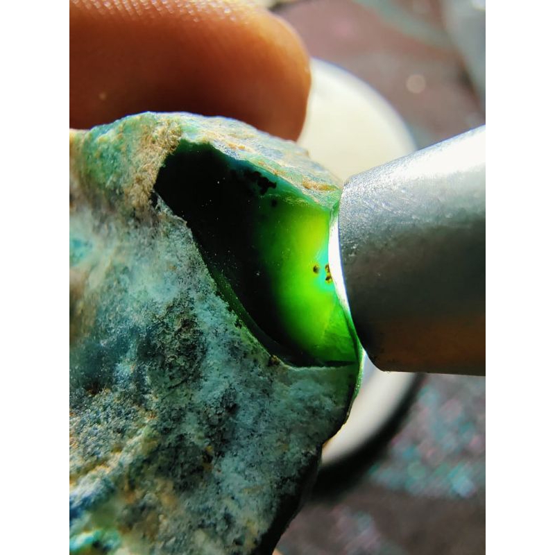 bahan bacan sesuai live