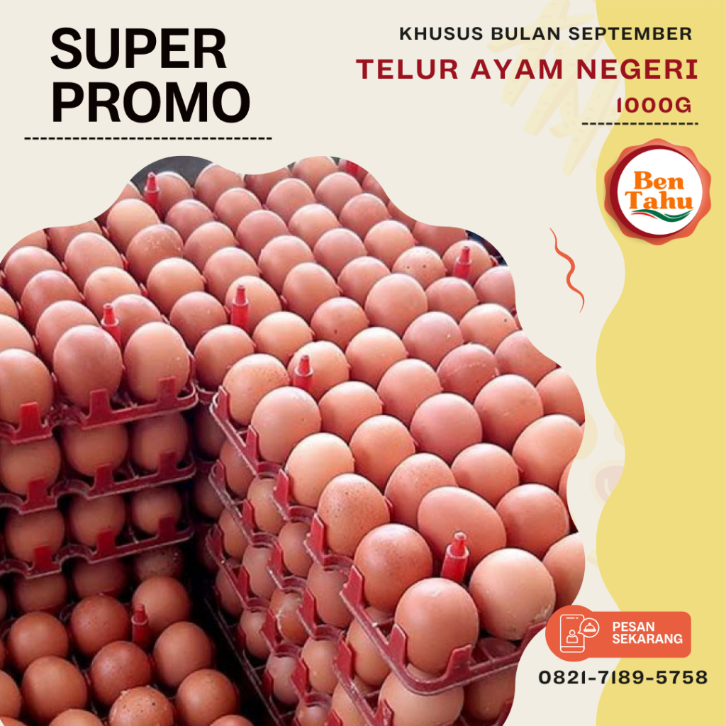 

TELUR AYAM NEGERI 1KG FRESH DAN BERSIH - PROMO MURAH FRESH