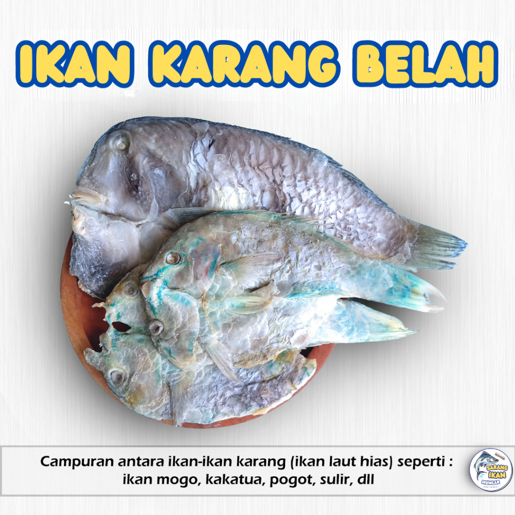 

IKAN ASIN KARANG BELAH / IKAN KELING MOGO / KAKATUA ASIN 250 & 500 gram