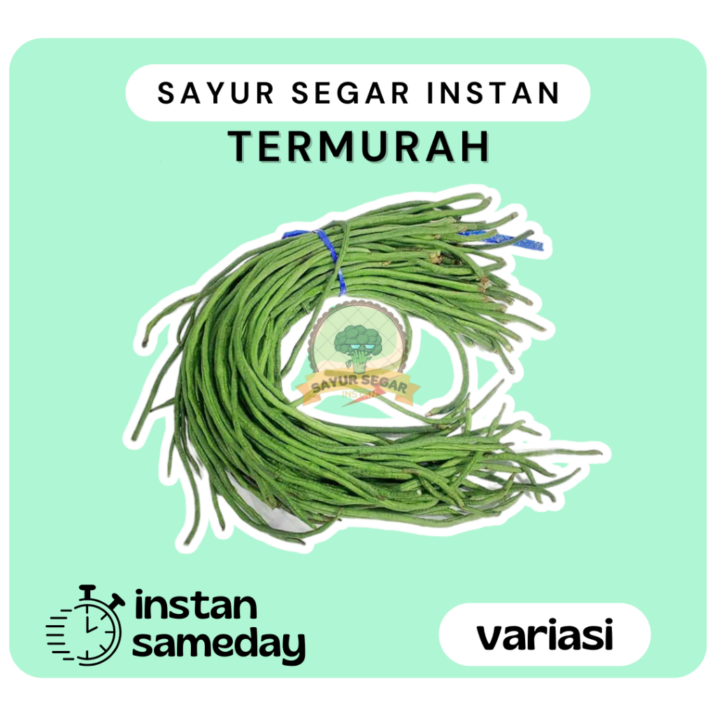 

Kacang Panjang / Sayur Segar Kacang Panjang