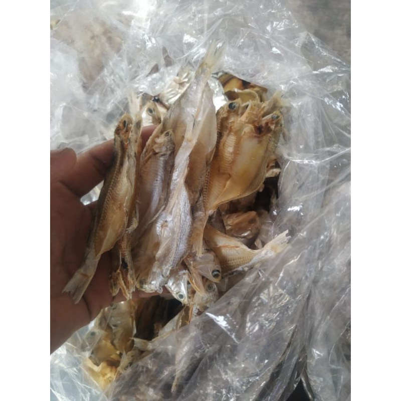 

ikan asin gilis tawar