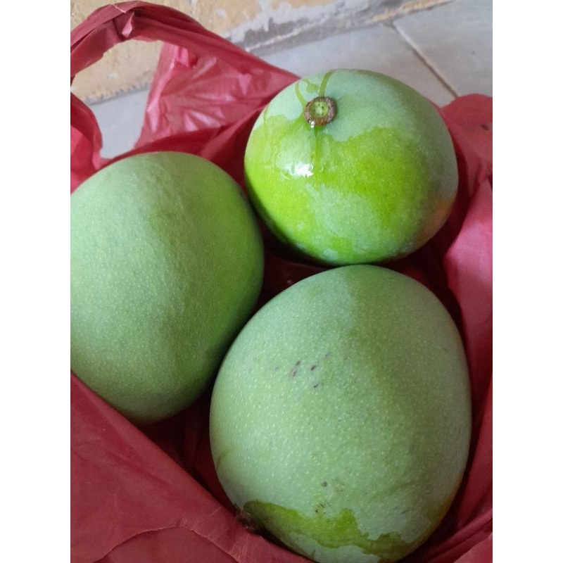 

Mangga rujak