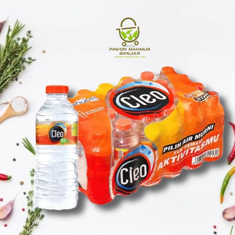 

AIR MINERAL CLEO KEMASAN BOTOL MINI 220 ml / 1 KARTON ISI 24