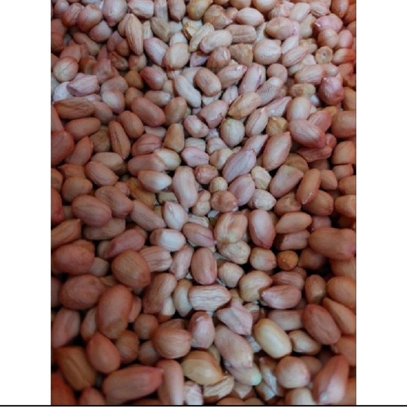 

kacang tanah mentah 500gr