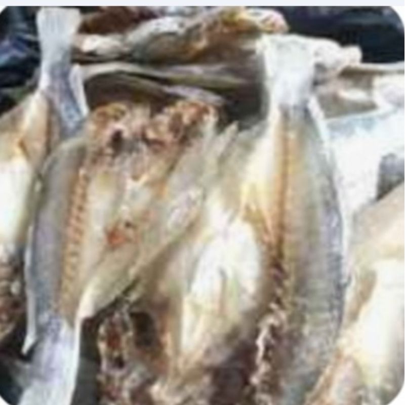 

ikan asin belah 1/4 gr