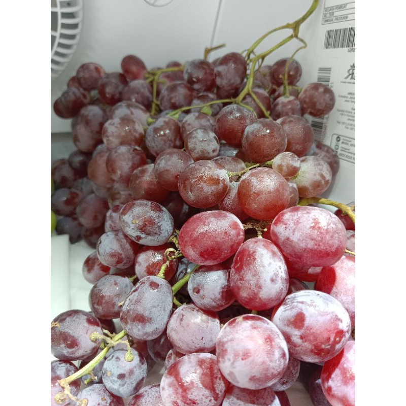 

Buah Anggur Red Globe 1 Kg