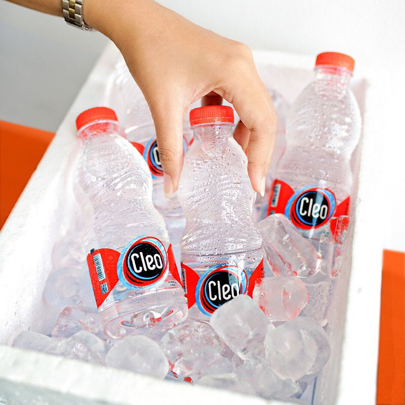 

Cleo Smart 220ml x 24 botol