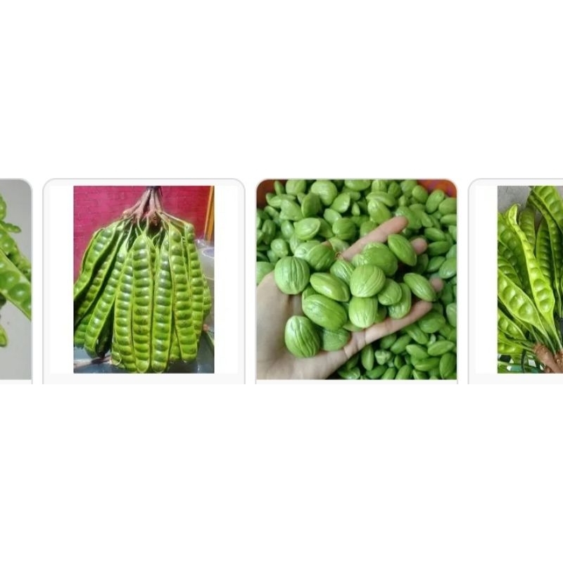 

pete utuh dan kupaa / pasar online karuwisi