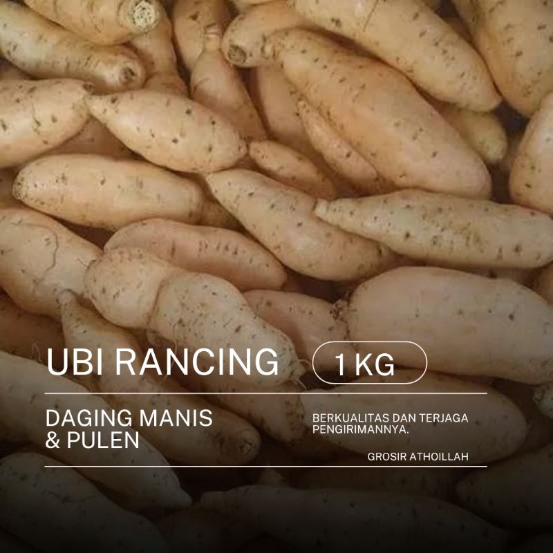 

Ubi Rancing / Ubi Cilembu / Ubi madu Daging Manis & Pulen 1 kg