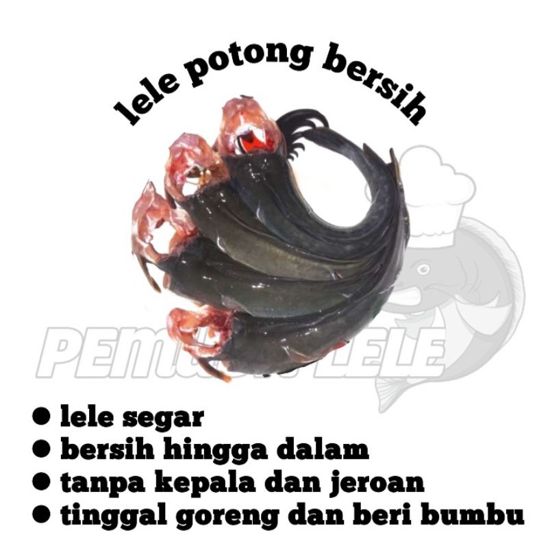 

Lele segar potong 1kg