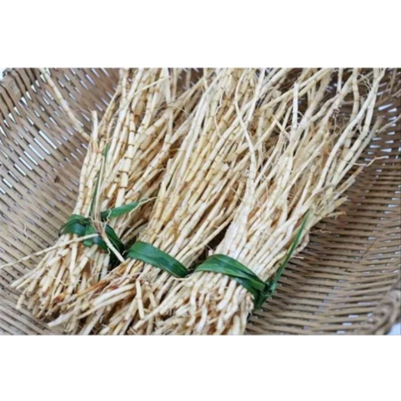 

herbal akar alang alang segar obat ginjal