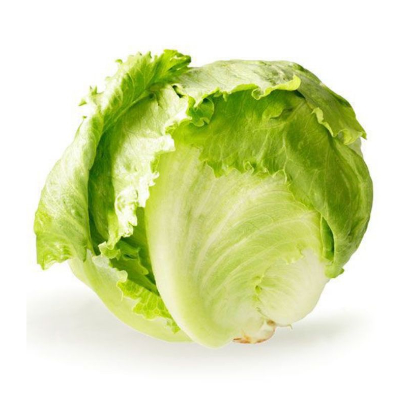 

Lettuce head 500 gr