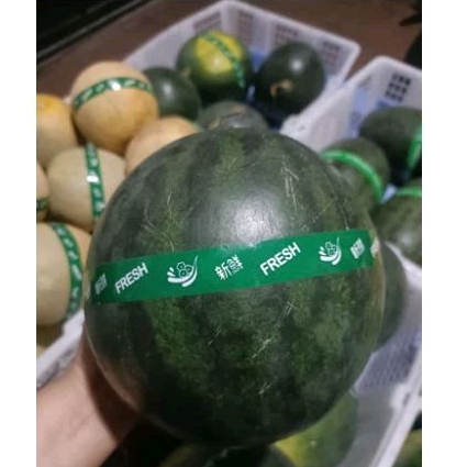 SEMANGKA MERAH PER BUAH