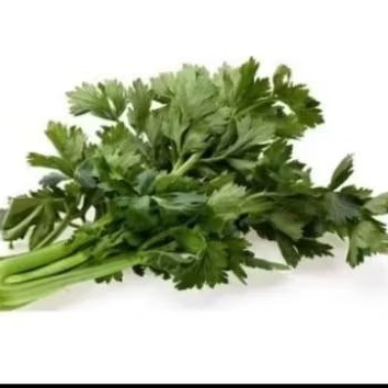 

daun seledri fresh/daun sop