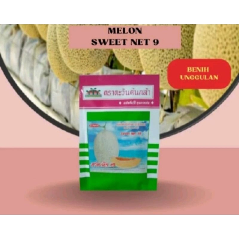 10 Biji Melon Sweet Net 9 F1 Original