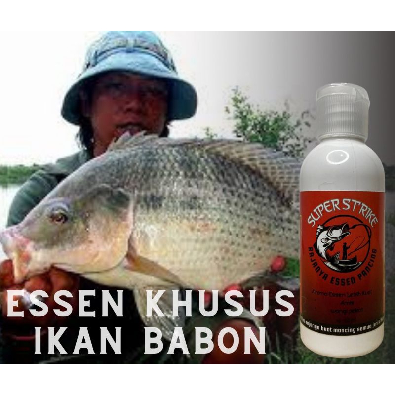 essen ikan babon SUPER STRIKE essen nila essen bawal essen patin essen lele s.p