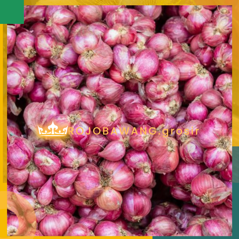 

Bawang Merah Brebes Premium murah Bandung