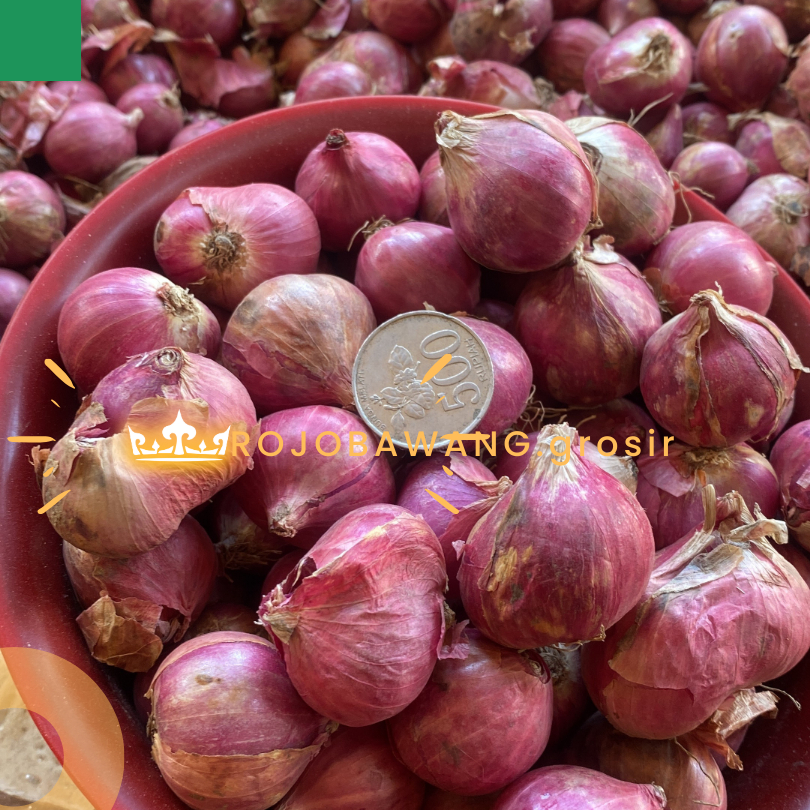 

BAWANG MERAH ASLI BIMA FRESH KERING dari petani