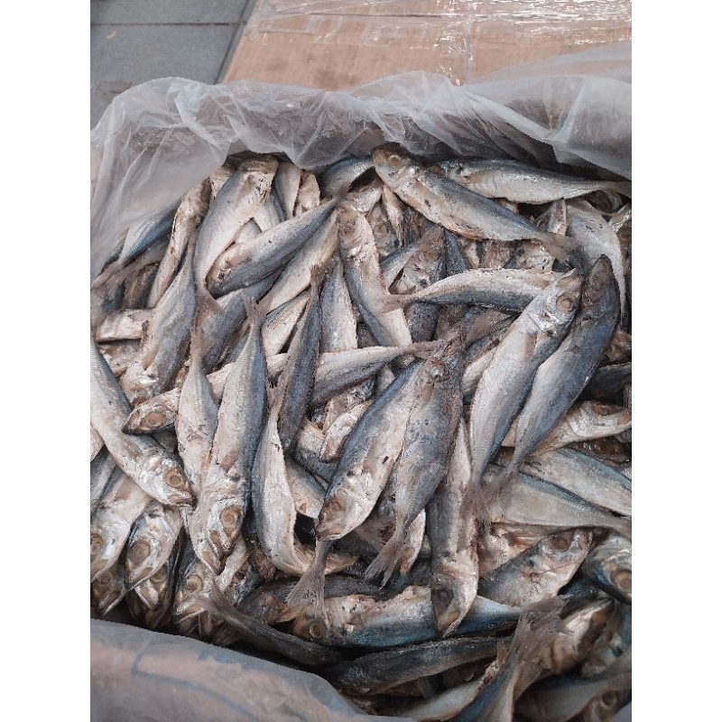 

Ikan Asin LAYANG ukuran Sedang