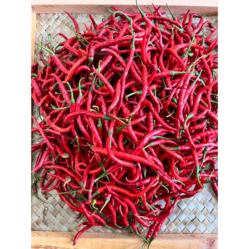 

Cabai Kriting 1kg Super Banyuwangi