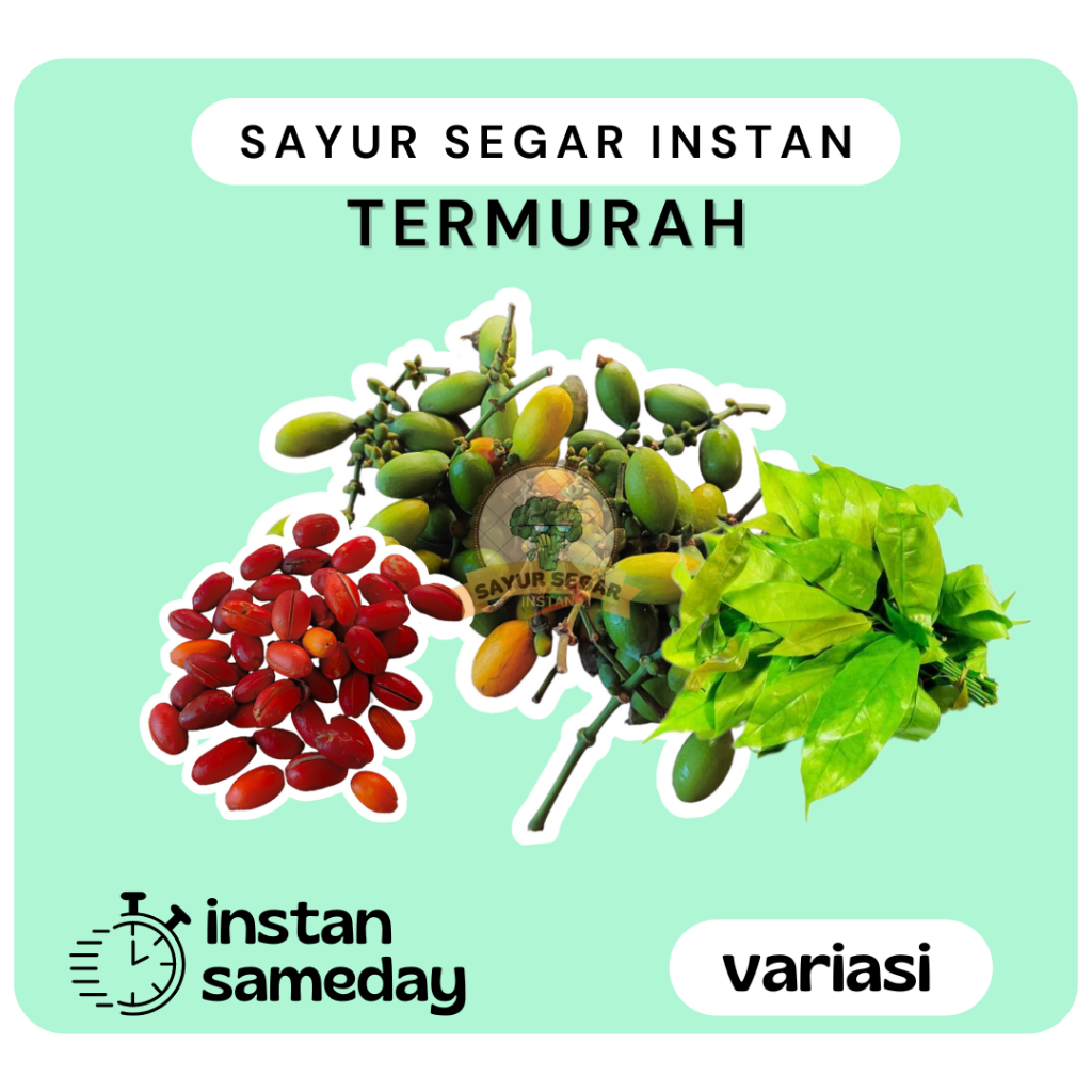 

Melinjo Segar / Kulit/Daun/Biji Melinjo