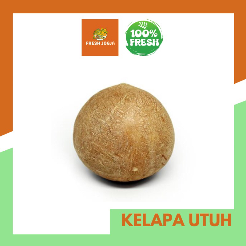

Kelapa Utuh per Butir | Fresh Jogja