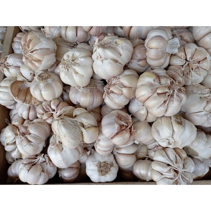 

Bawang putih Honam super 500gram