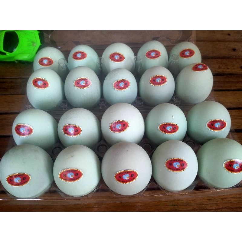 

TELUR ASINN N&D ASLI NGANJUK mantul masir enak berminyak siap kirim!!!