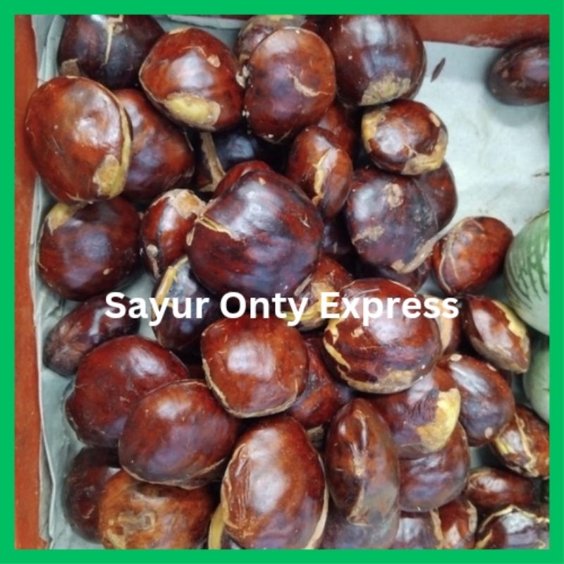 

Jengkol Mentah Segar 500 gram